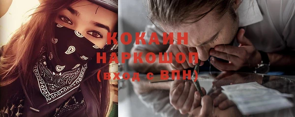 индика Богородск