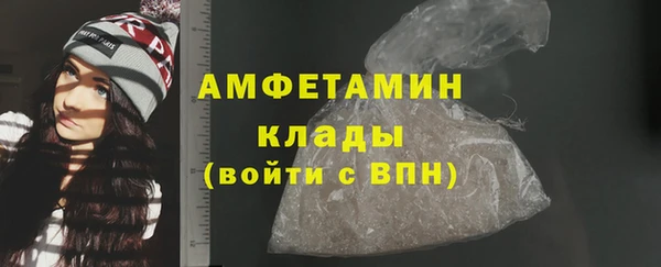 индика Богородск