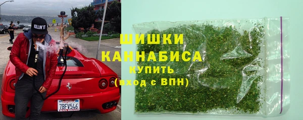 индика Богородск