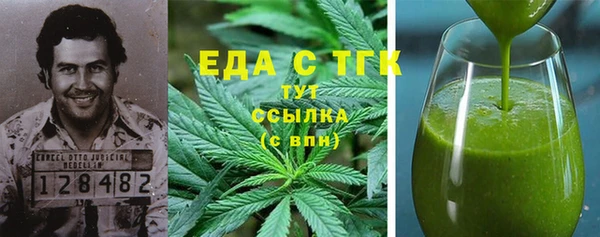 индика Богородск