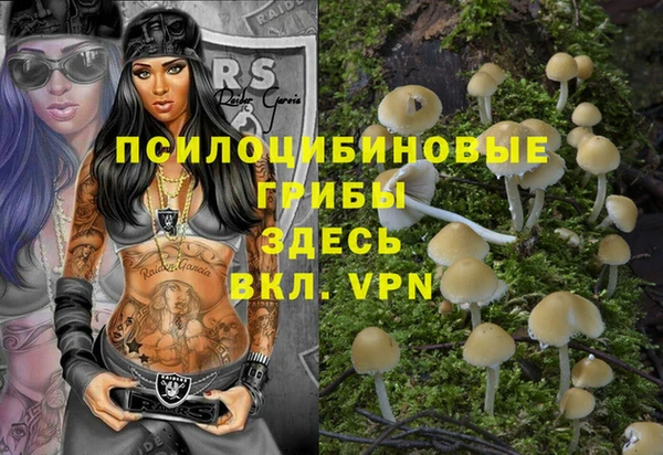 крисы Богданович