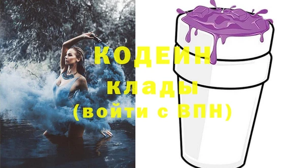 индика Богородск