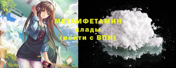 индика Богородск