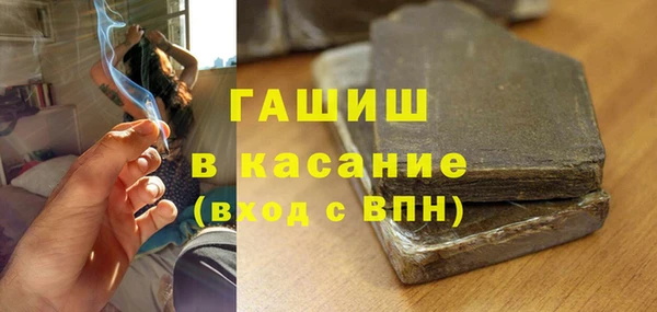 индика Богородск