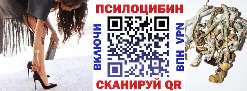 Псилоцибиновые грибы прущие грибы где продают Новомосковск